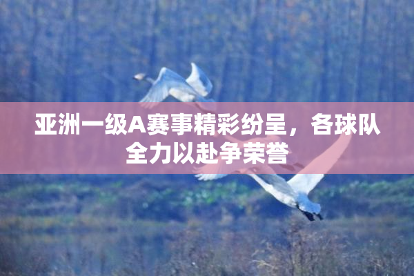 亚洲一级A赛事精彩纷呈，各球队全力以赴争荣誉