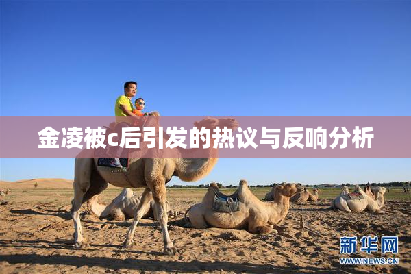 金凌被c后引发的热议与反响分析