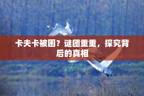 卡夫卡被困？谜团重重，探究背后的真相