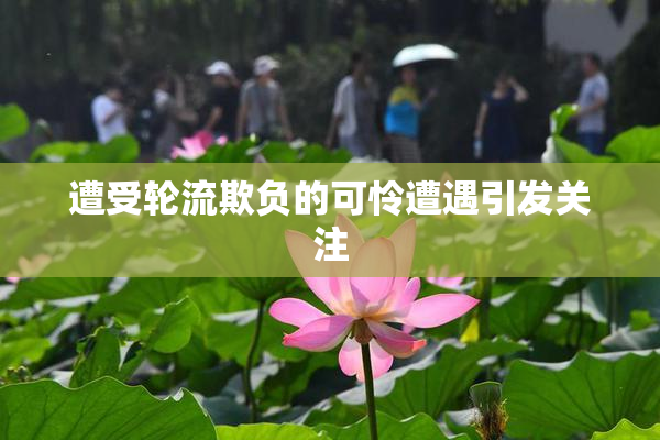 遭受轮流欺负的可怜遭遇引发关注