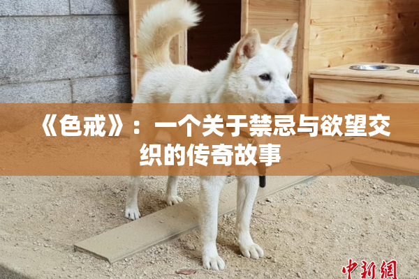 《色戒》：一个关于禁忌与欲望交织的传奇故事