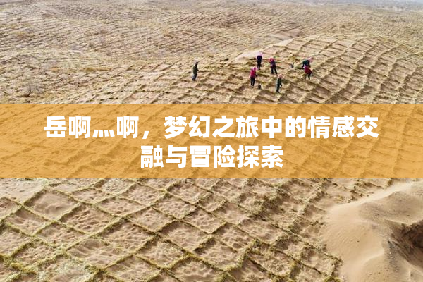 岳啊灬啊，梦幻之旅中的情感交融与冒险探索