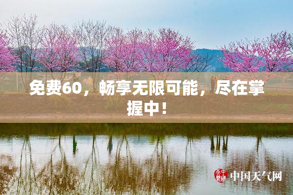免费60，畅享无限可能，尽在掌握中！