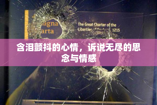 含泪颤抖的心情，诉说无尽的思念与情感