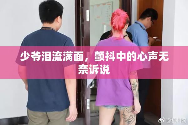 少爷泪流满面，颤抖中的心声无奈诉说