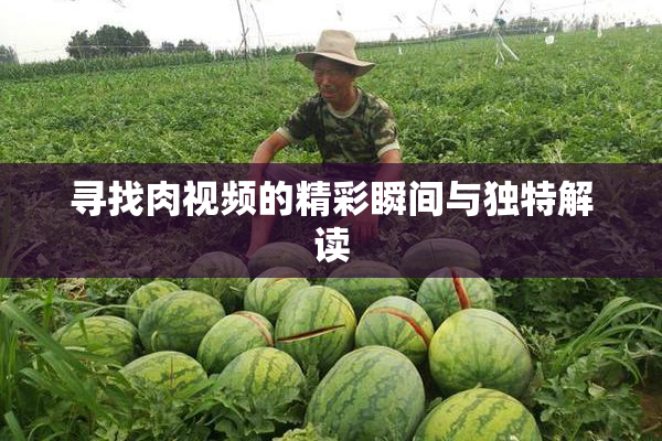 寻找肉视频的精彩瞬间与独特解读