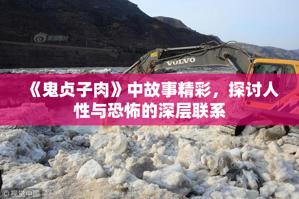 《鬼贞子肉》中故事精彩，探讨人性与恐怖的深层联系