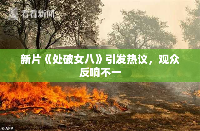 新片《处破女八》引发热议，观众反响不一