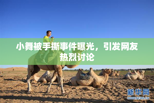 小舞被手撕事件曝光，引发网友热烈讨论