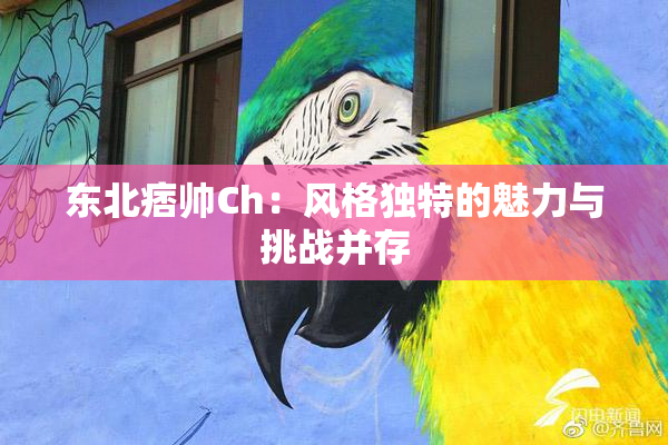 东北痞帅Ch：风格独特的魅力与挑战并存