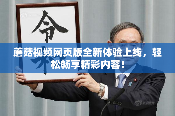 蘑菇视频网页版全新体验上线，轻松畅享精彩内容！