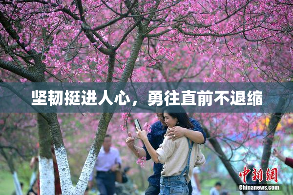 坚韧挺进人心，勇往直前不退缩