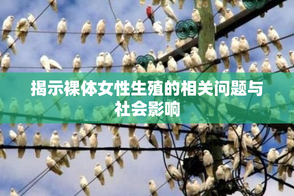 揭示裸体女性生殖的相关问题与社会影响