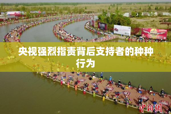 央视强烈指责背后支持者的种种行为