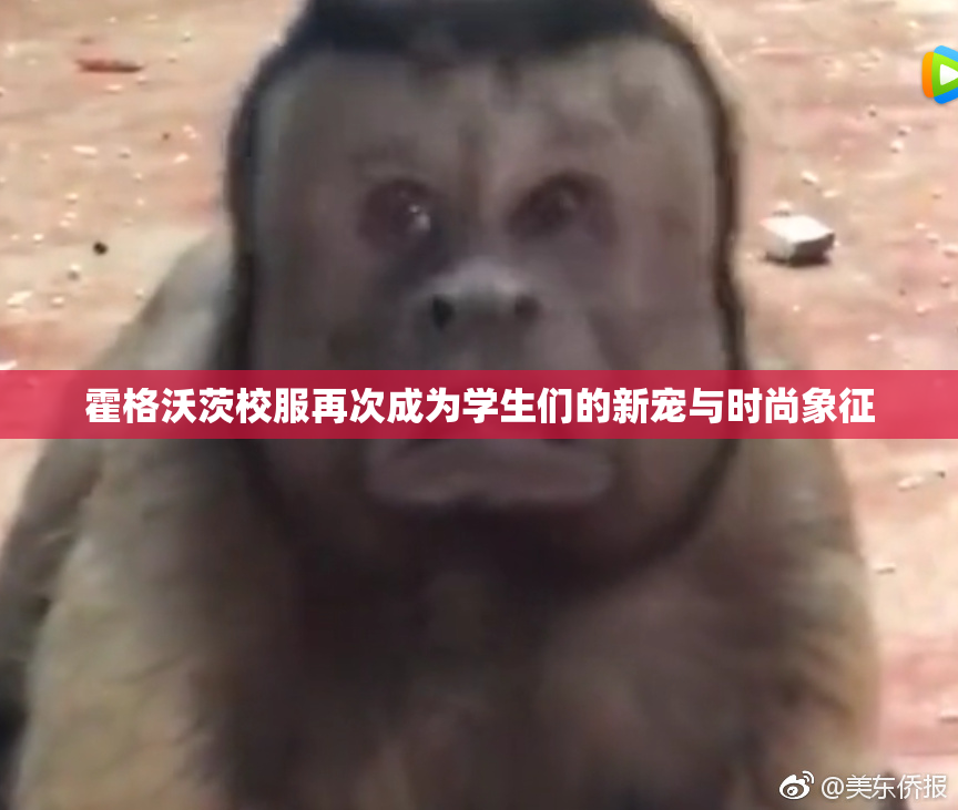 霍格沃茨校服再次成为学生们的新宠与时尚象征