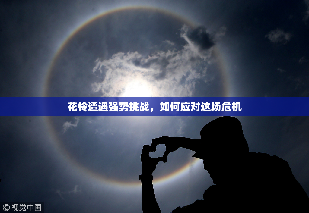 花怜遭遇强势挑战，如何应对这场危机