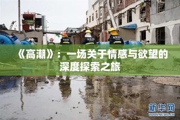 《高潮》：一场关于情感与欲望的深度探索之旅
