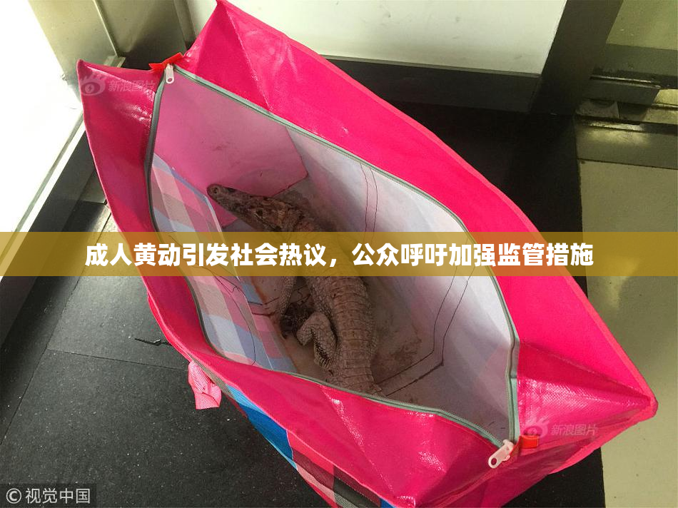 成人黄动引发社会热议，公众呼吁加强监管措施