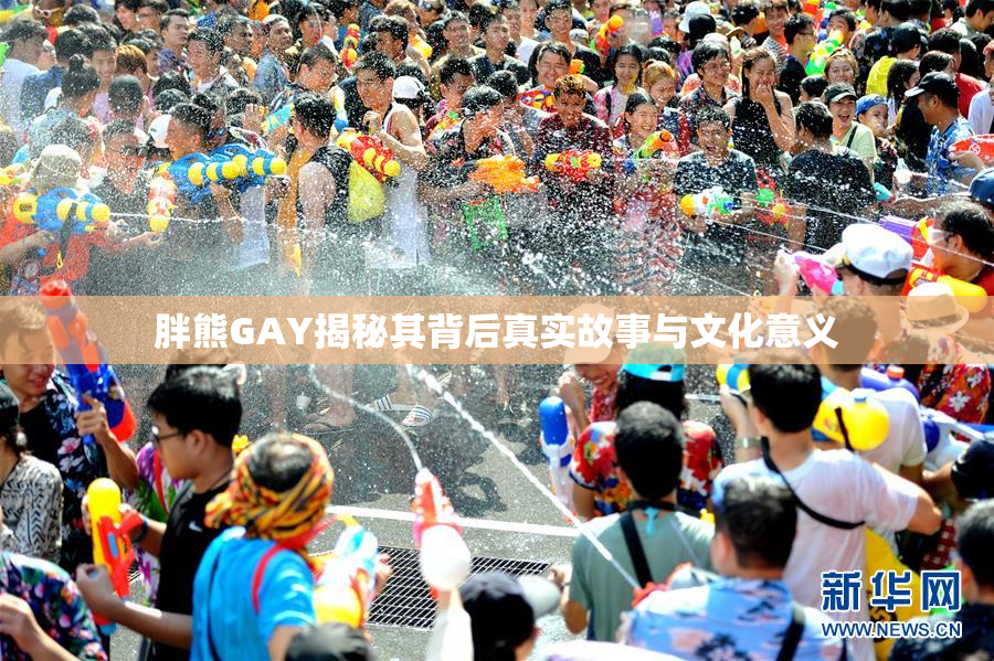胖熊GAY揭秘其背后真实故事与文化意义