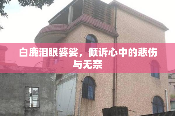 白鹿泪眼婆娑，倾诉心中的悲伤与无奈