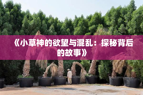 《小草神的欲望与混乱：探秘背后的故事》