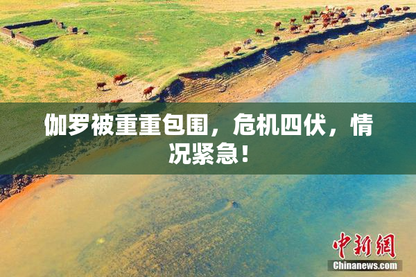 伽罗被重重包围，危机四伏，情况紧急！