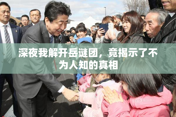 深夜我解开岳谜团，竟揭示了不为人知的真相