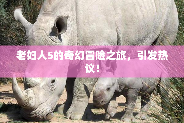 老妇人5的奇幻冒险之旅，引发热议！