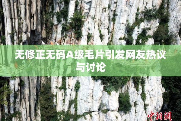 无修正无码A级毛片引发网友热议与讨论