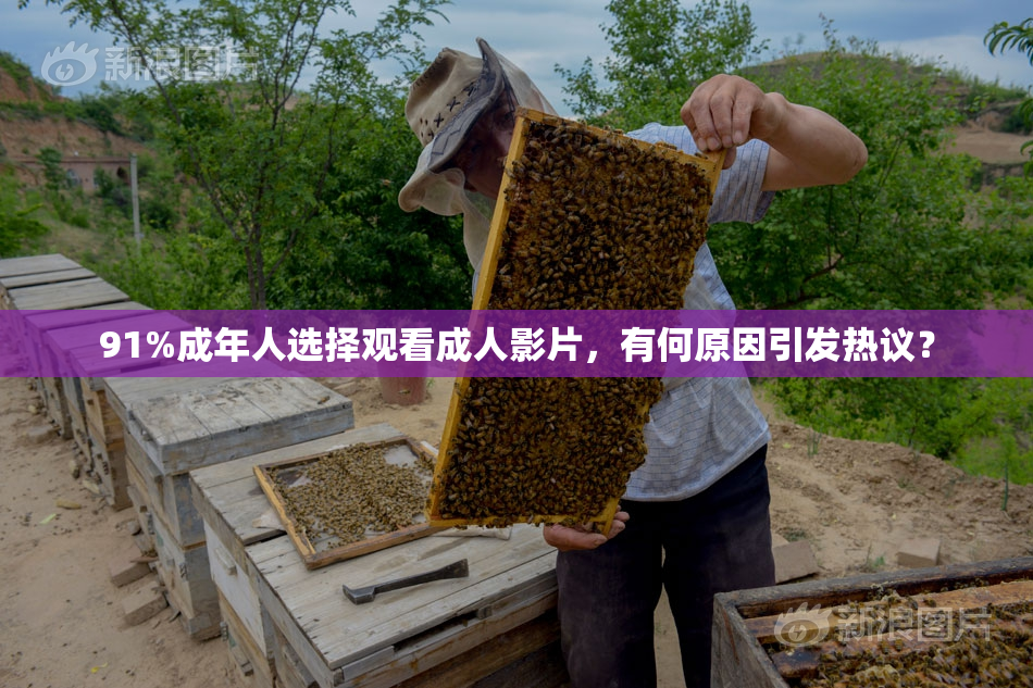 91%成年人选择观看成人影片，有何原因引发热议？