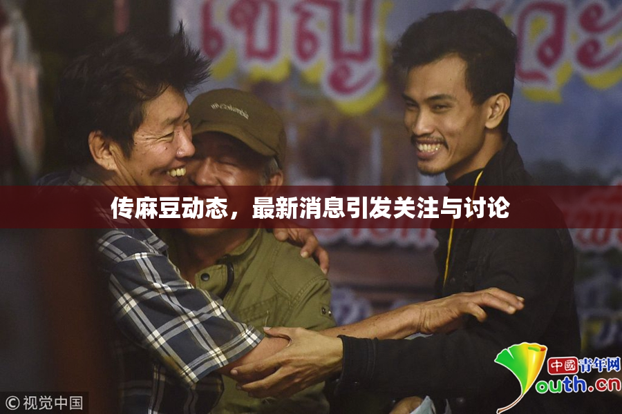 传麻豆动态，最新消息引发关注与讨论