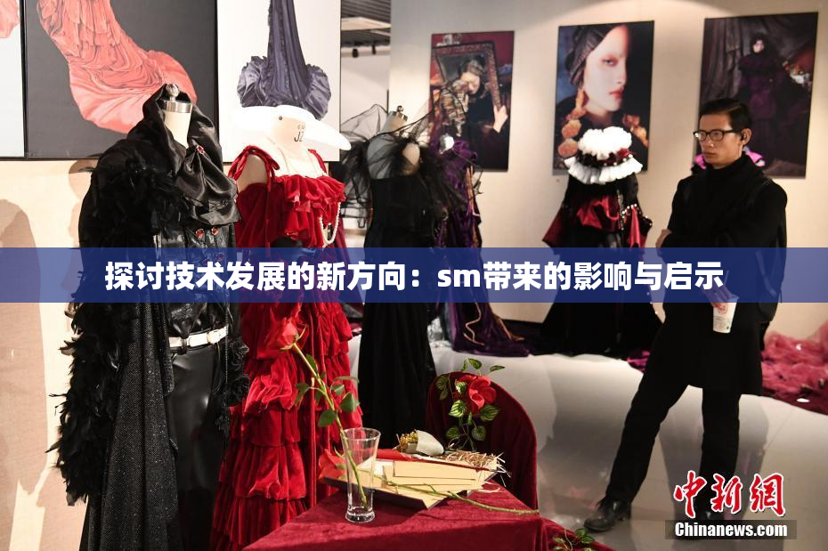 探讨技术发展的新方向：sm带来的影响与启示