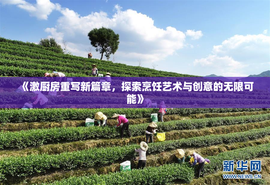 《激厨房重写新篇章，探索烹饪艺术与创意的无限可能》