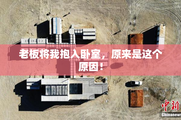 老板将我抱入卧室，原来是这个原因！