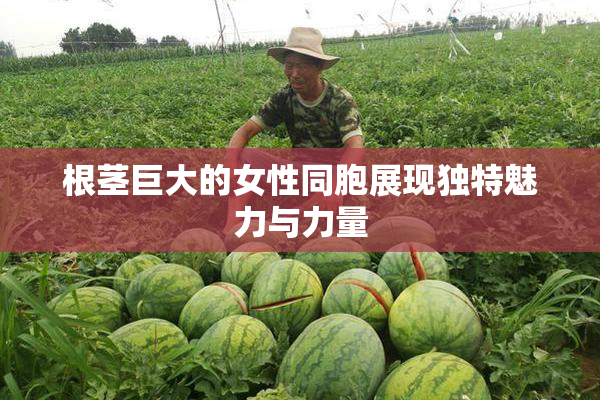 根茎巨大的女性同胞展现独特魅力与力量