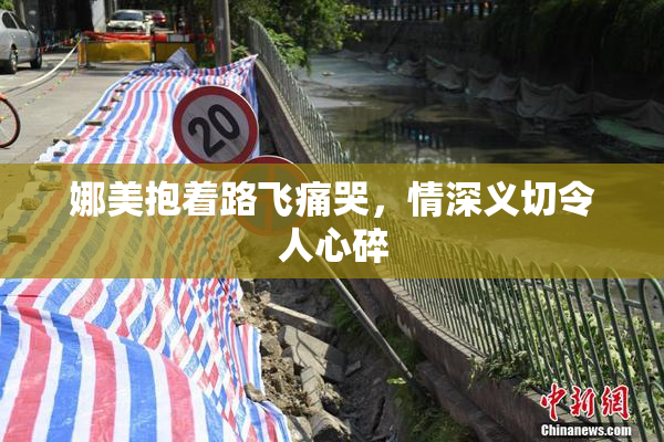 娜美抱着路飞痛哭，情深义切令人心碎
