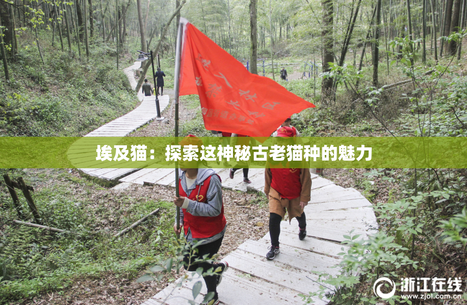 埃及猫：探索这神秘古老猫种的魅力