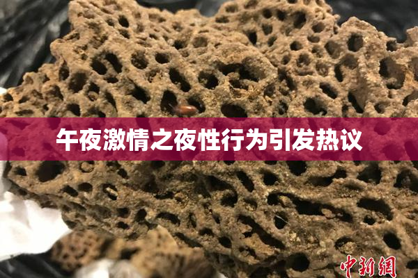 午夜激情之夜性行为引发热议