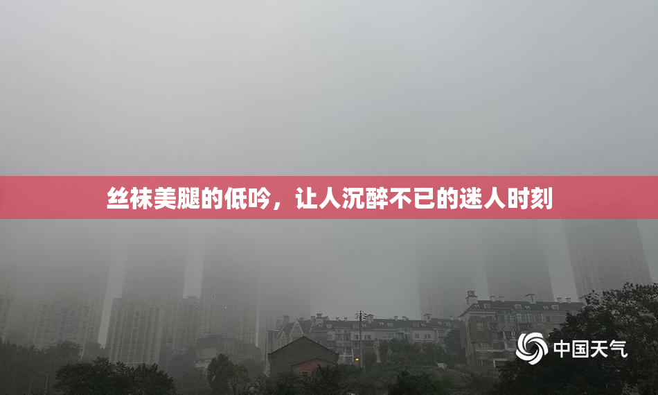 丝袜美腿的低吟，让人沉醉不已的迷人时刻