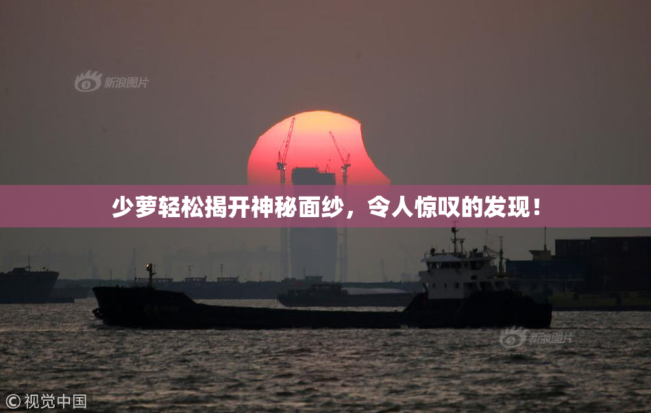 少萝轻松揭开神秘面纱，令人惊叹的发现！