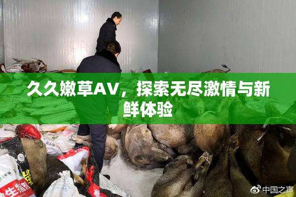 久久嫩草AV，探索无尽激情与新鲜体验