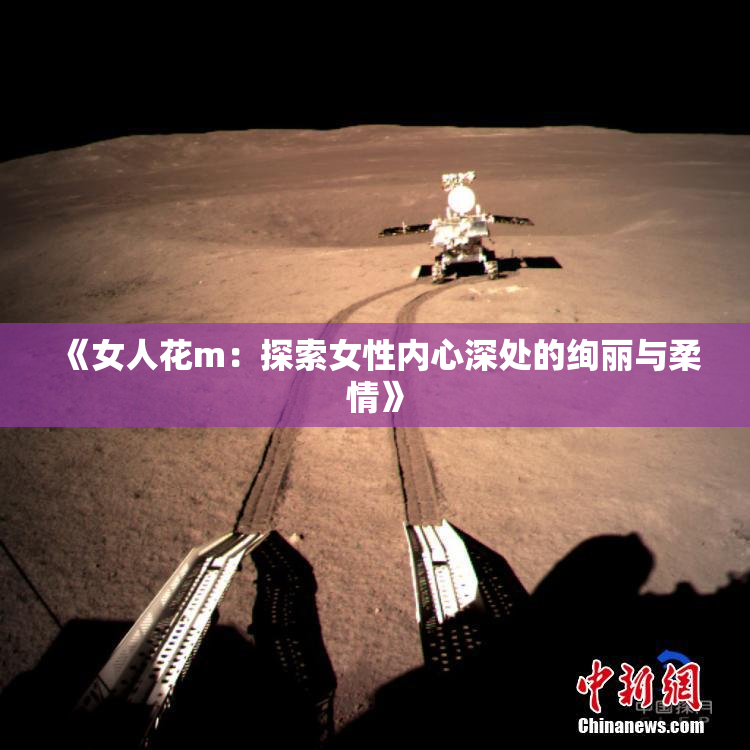 《女人花m：探索女性内心深处的绚丽与柔情》