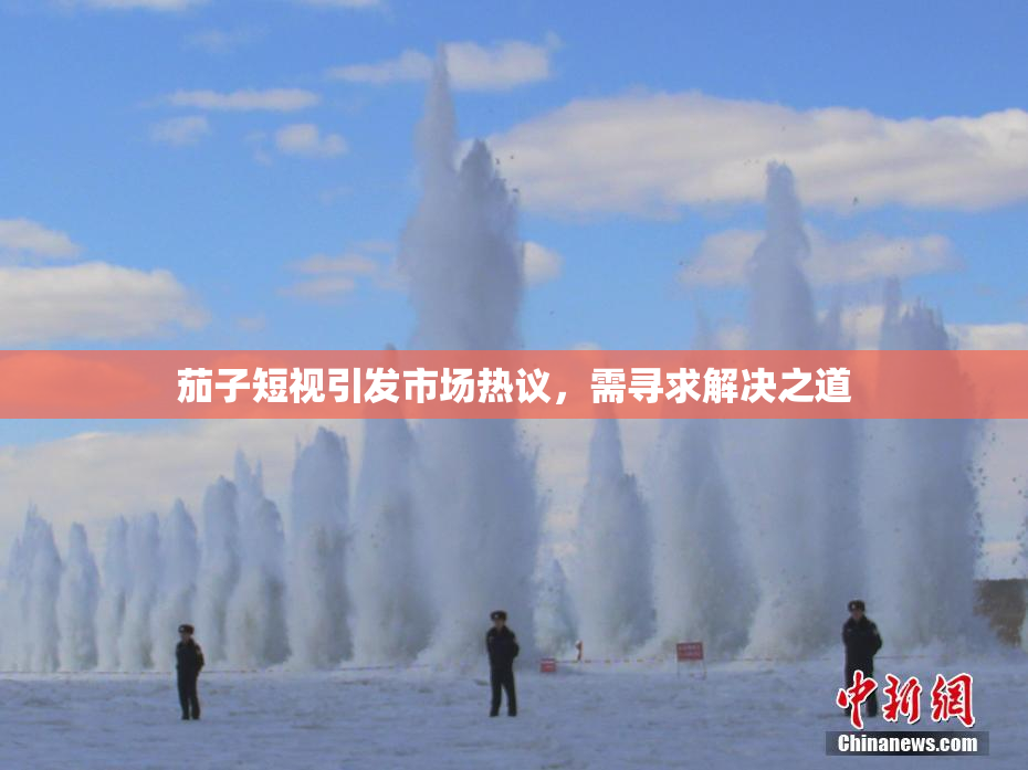茄子短视引发市场热议，需寻求解决之道