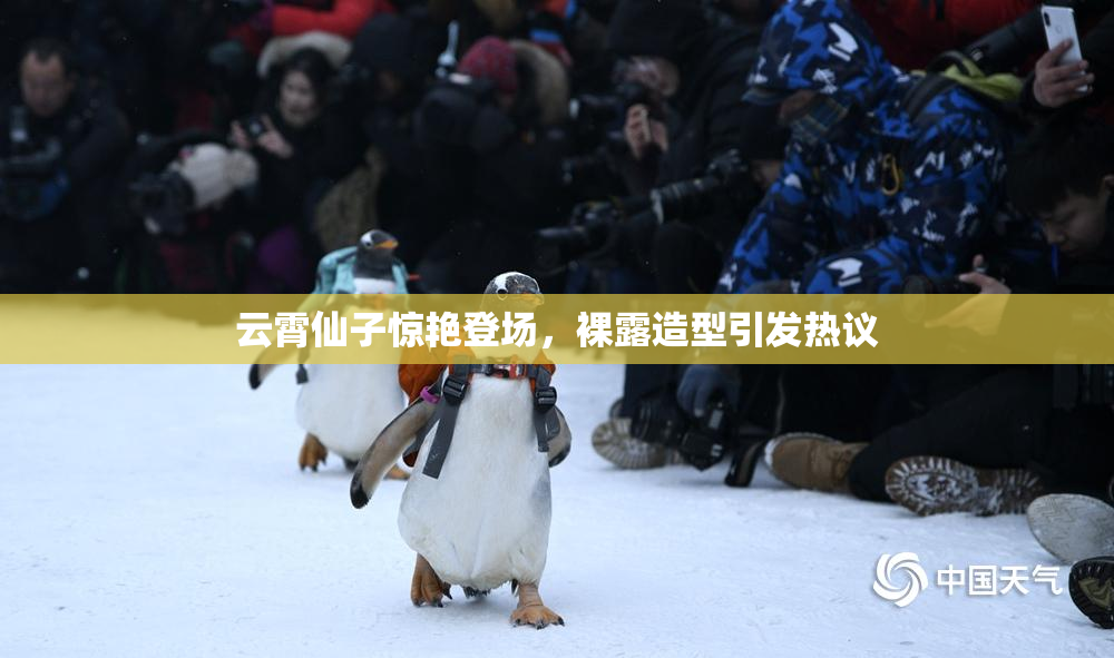 云霄仙子惊艳登场，裸露造型引发热议