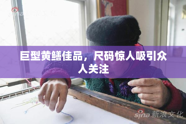 巨型黄鳝佳品，尺码惊人吸引众人关注