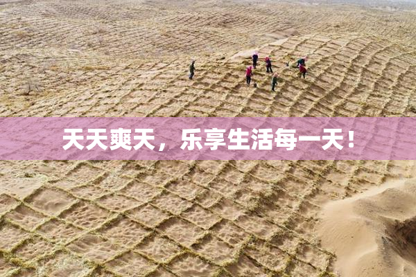 天天爽天，乐享生活每一天！