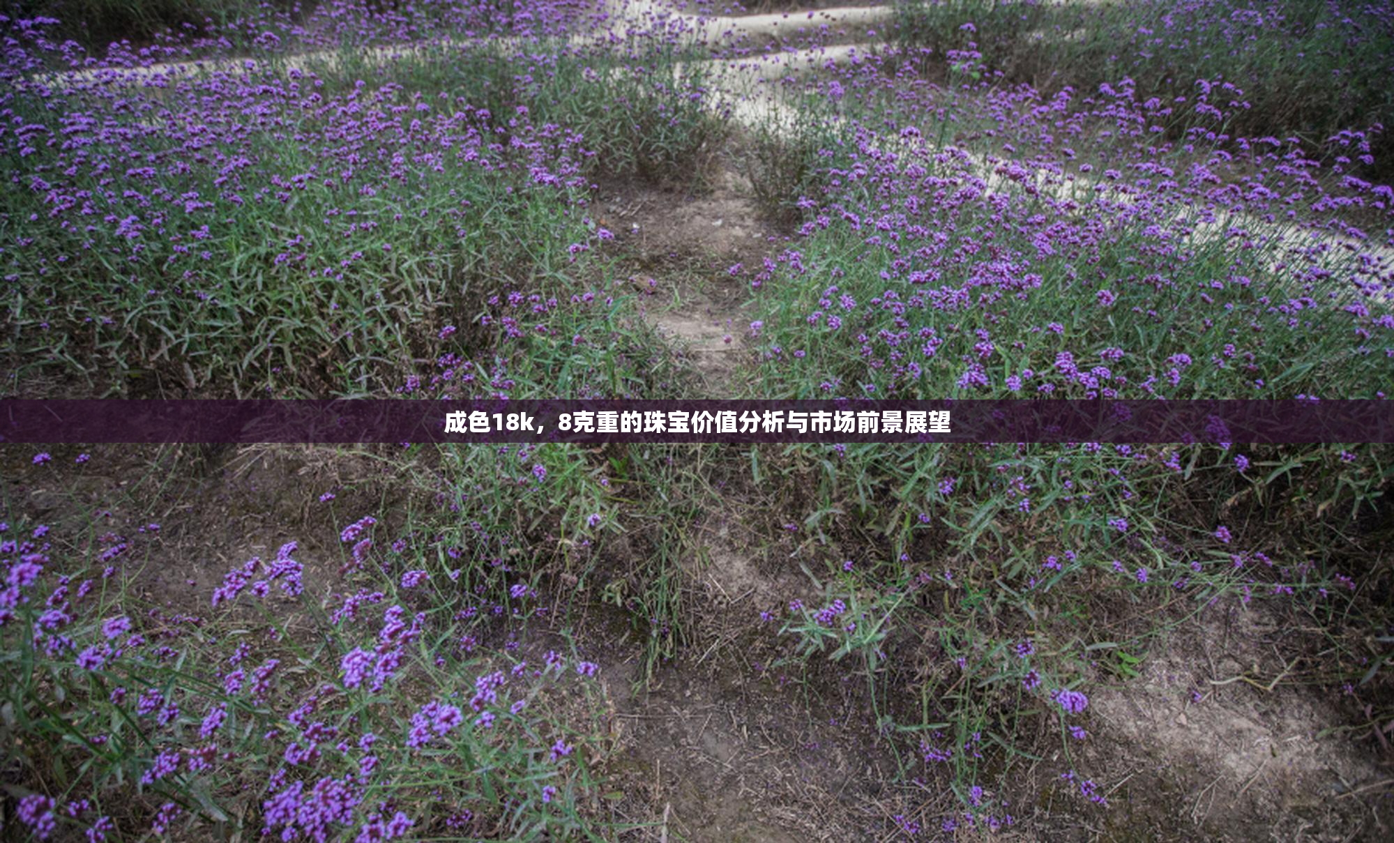 成色18k，8克重的珠宝价值分析与市场前景展望