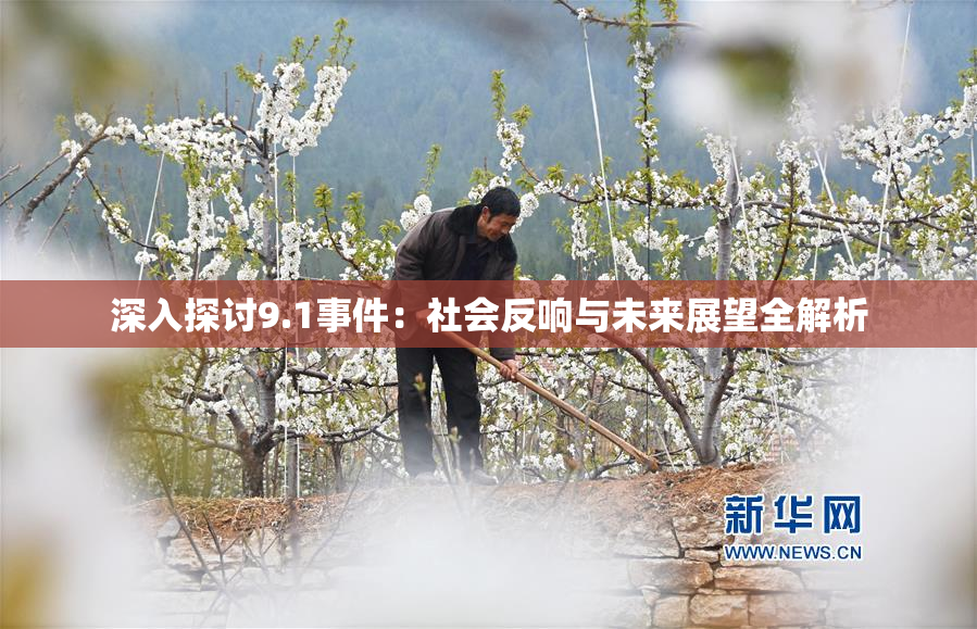 深入探讨9.1事件：社会反响与未来展望全解析