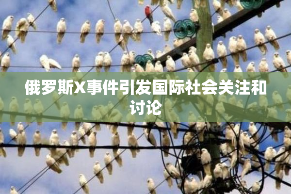 俄罗斯X事件引发国际社会关注和讨论