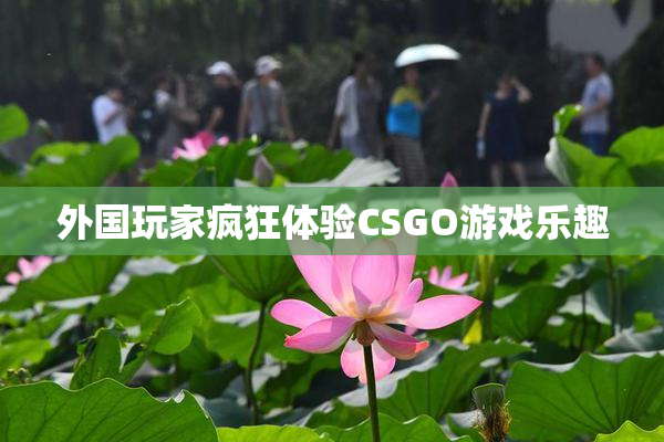 外国玩家疯狂体验CSGO游戏乐趣